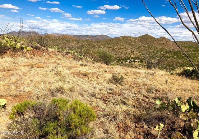 17765 S Copper Cut Trl -, Unit Vail, AZ 85641