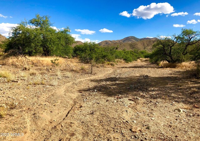 17765 S Copper Cut Trl -, Unit Vail, AZ 85641