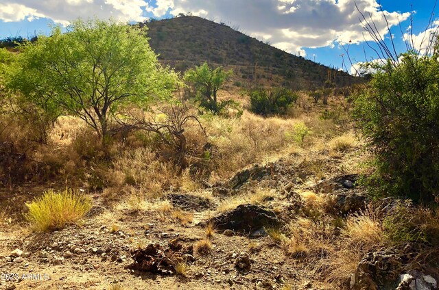 17765 S Copper Cut Trl -, Unit Vail, AZ 85641