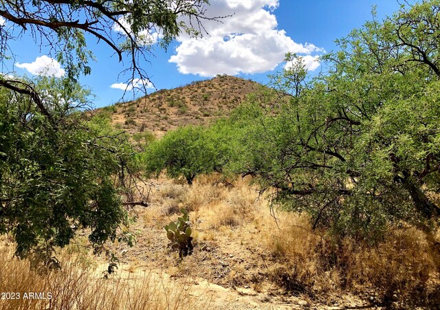 17765 S Copper Cut Trl -, Unit Vail, AZ 85641