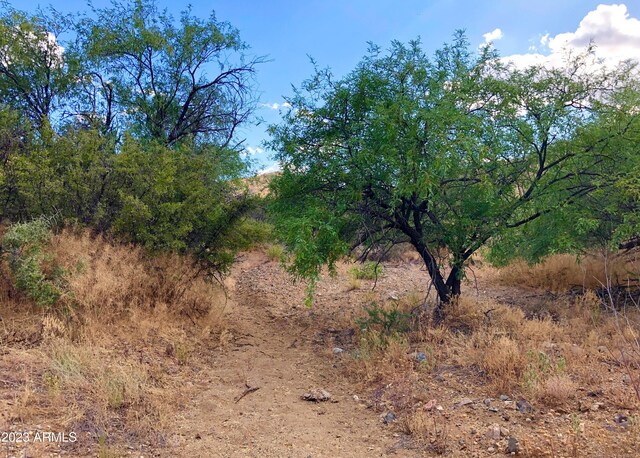 17765 S Copper Cut Trl -, Unit Vail, AZ 85641