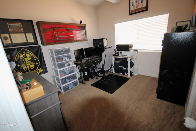 office space featuring carpet flooring