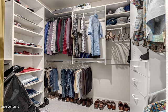 spacious closet with carpet flooring