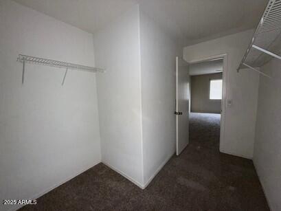 990 E Desert Rose Trl, San Tan Valley, AZ 85143 - spacious closet with carpet floors