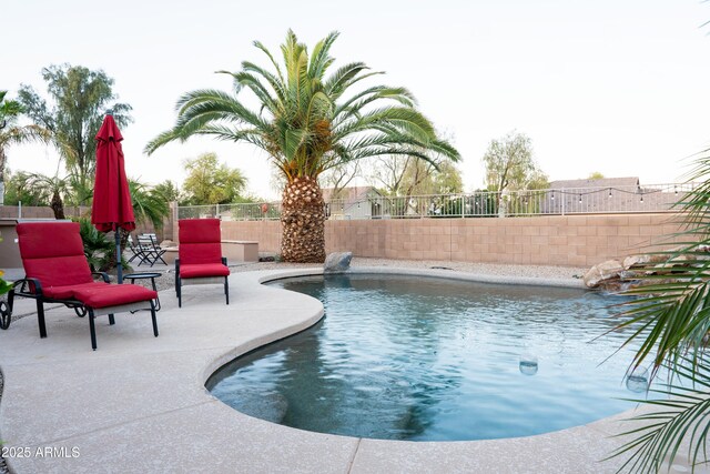 view of pool featuring a patio, a fenced backyard, and a fenced in pool