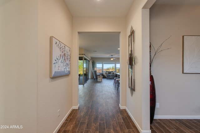 hall with dark hardwood / wood-style floors