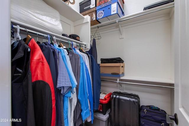 view of walk in closet