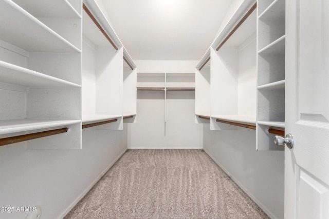 spacious closet featuring light colored carpet