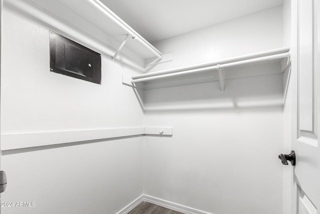 spacious closet featuring wood-type flooring