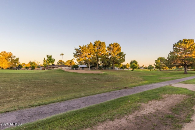 view of property's community featuring a yard