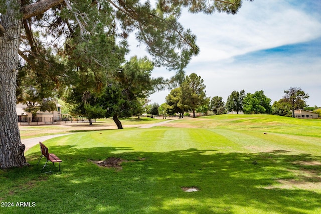 view of home's community with a lawn