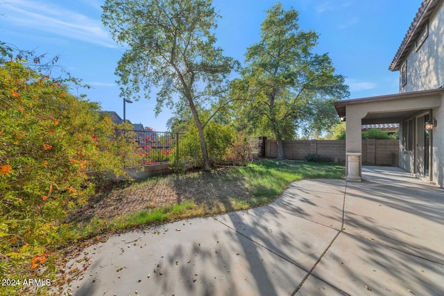 view of yard with a patio