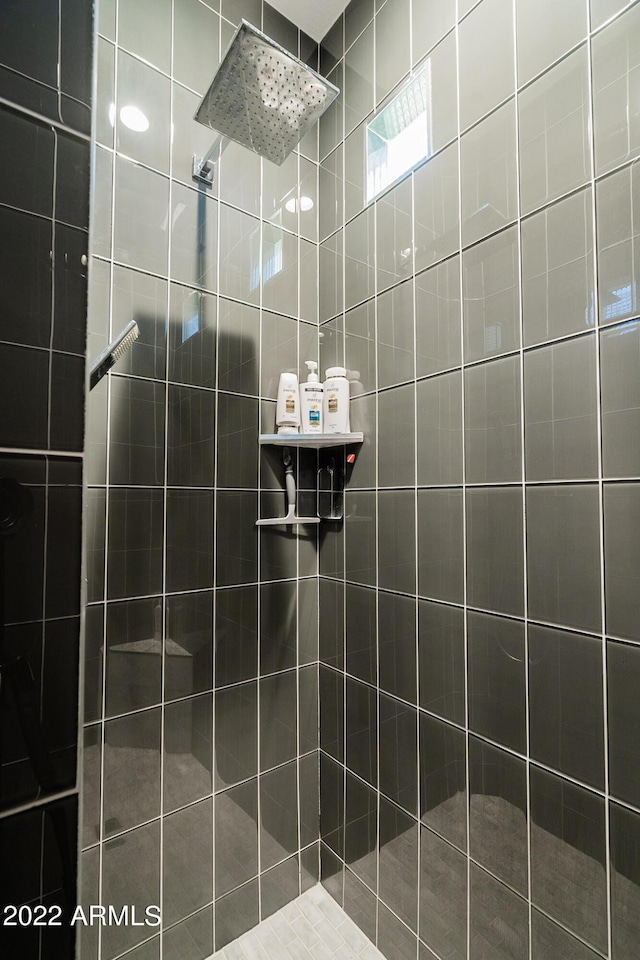 bathroom featuring a walk in shower