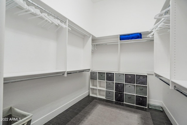 spacious closet with wood finished floors