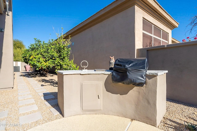 view of patio / terrace with grilling area and an outdoor kitchen