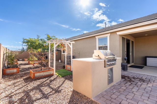 view of patio / terrace featuring exterior kitchen and grilling area