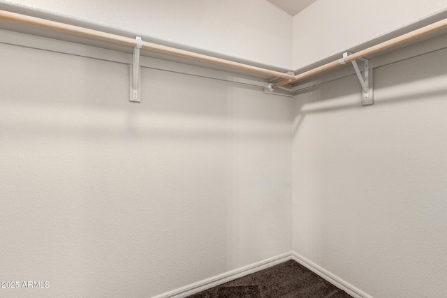 5901 E Leonora St, Mesa, AZ 85215 - spacious closet featuring dark colored carpet