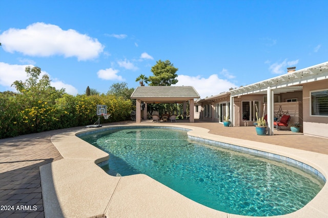 view of swimming pool with a patio area