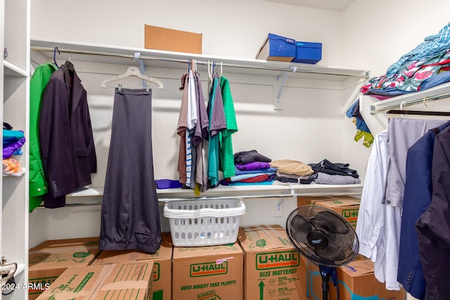 view of walk in closet