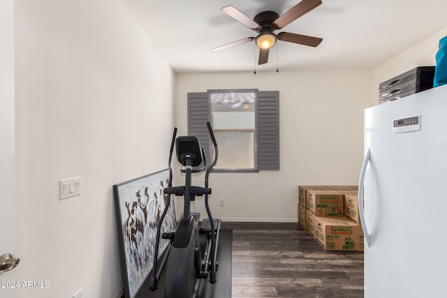 exercise room featuring ceiling fan and dark wood-type flooring