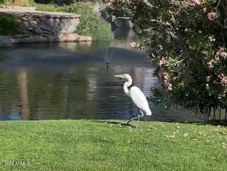 view of water feature