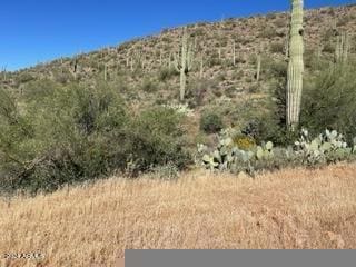 Listing photo 2 for 0 N Elephant Butte Rd Lot 4E, Queen Valley AZ 85118