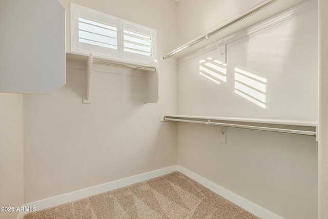 spacious closet with carpet floors