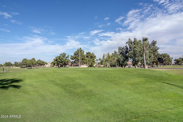 view of property's community featuring a lawn