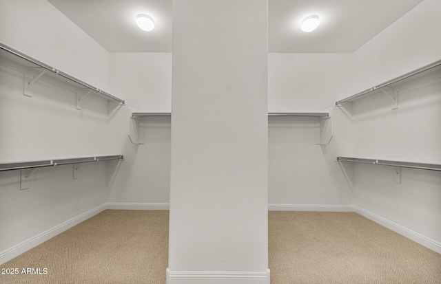 spacious closet with carpet floors