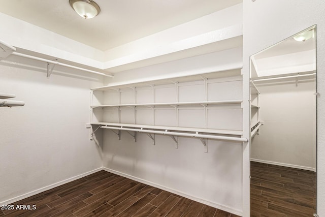 937 N Marble St, Gilbert, AZ 85234 - walk in closet featuring dark wood-type flooring