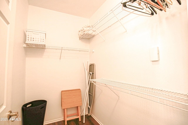 spacious closet with dark wood-style flooring