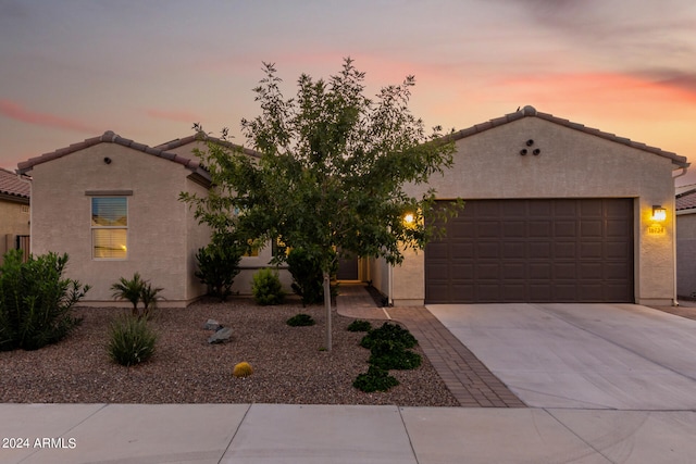 view of front of house with a garage