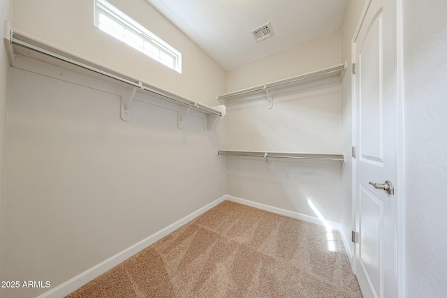 walk in closet featuring carpet flooring and visible vents