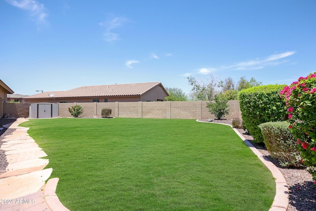 view of yard featuring a shed