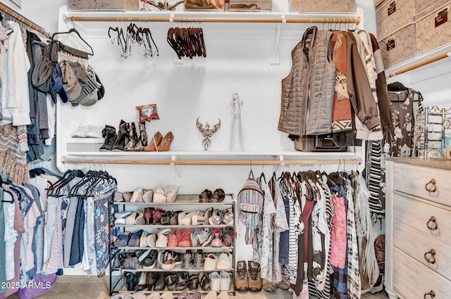 view of walk in closet
