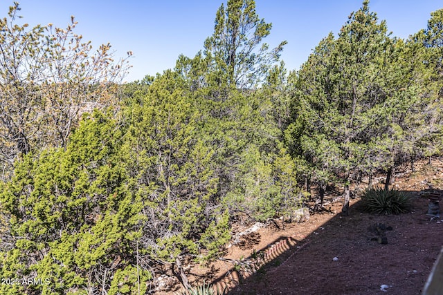 2806 Skyhawk Dr, Overgaard, AZ 85933 - view of tree filled area
