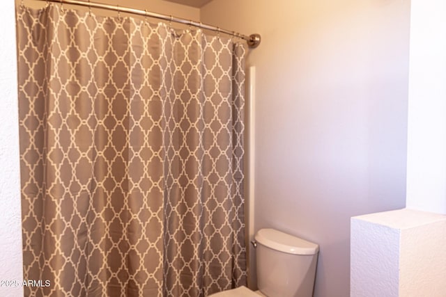 2806 Skyhawk Dr, Overgaard, AZ 85933 - bathroom with toilet and a shower with curtain