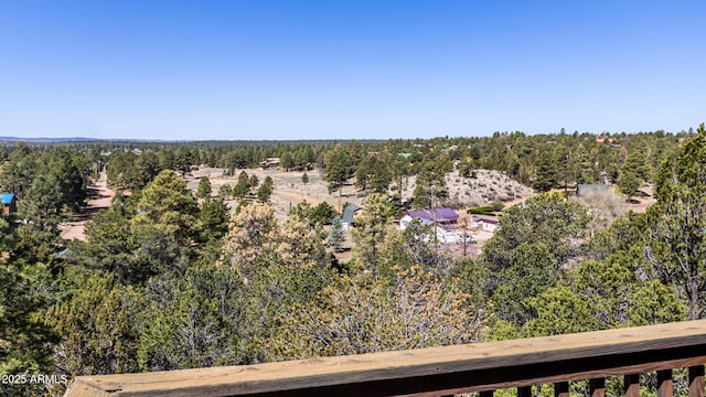 2806 Skyhawk Dr, Overgaard, AZ 85933 - drone / aerial view