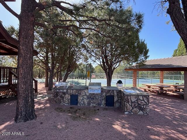 2806 Skyhawk Dr, Overgaard, AZ 85933 - view of patio with exterior kitchen and grilling area