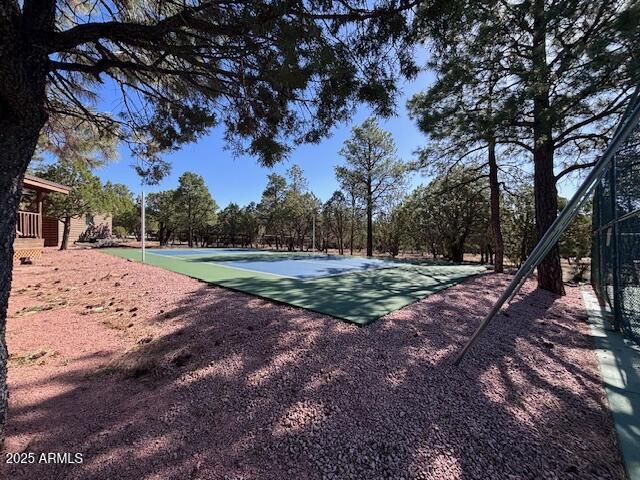 2806 Skyhawk Dr, Overgaard, AZ 85933 - view of property's community