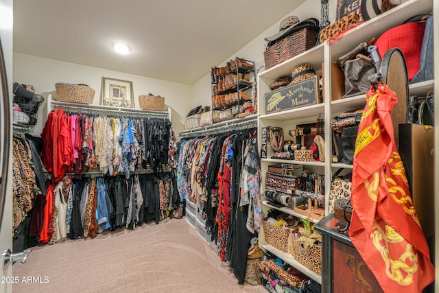 spacious closet with carpet flooring