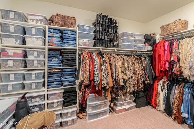 spacious closet featuring carpet flooring