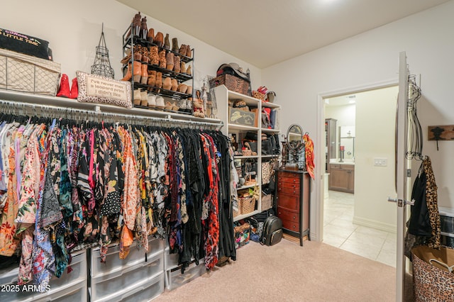 spacious closet with light colored carpet