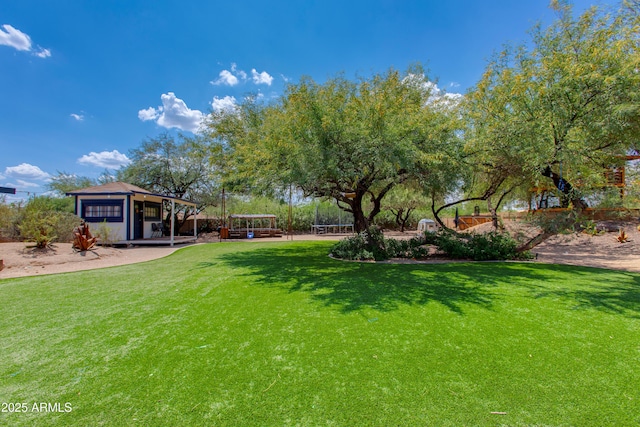 7102 E Kalil Dr, Scottsdale, AZ 85254 - view of green lawn