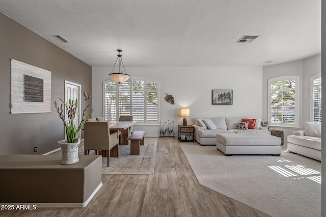 living room with plenty of natural light and light wood-type flooring