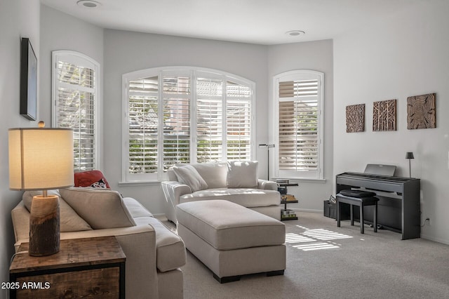 carpeted living room with a wealth of natural light