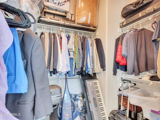 view of spacious closet