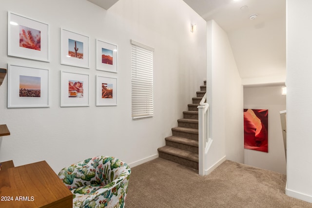 stairs featuring carpet