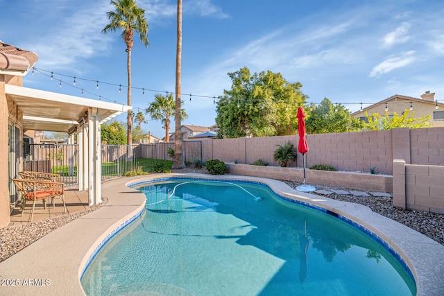 view of swimming pool featuring a patio, a fenced backyard, and a fenced in pool