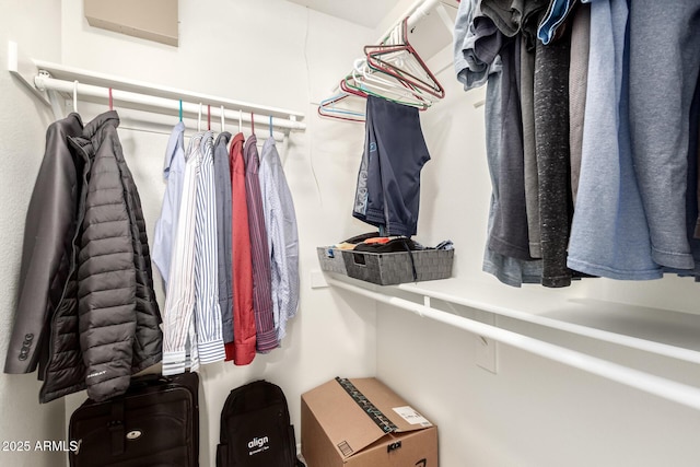 view of walk in closet